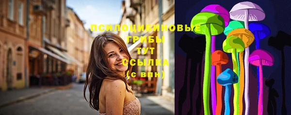винт Алзамай