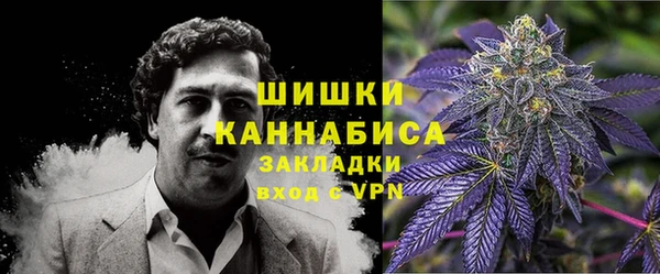 винт Алзамай
