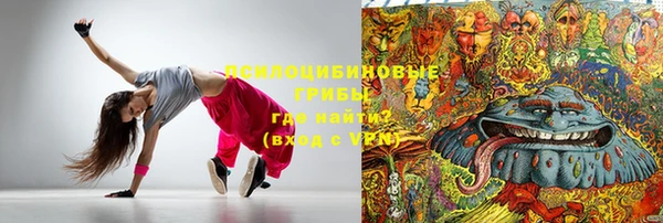 винт Алзамай